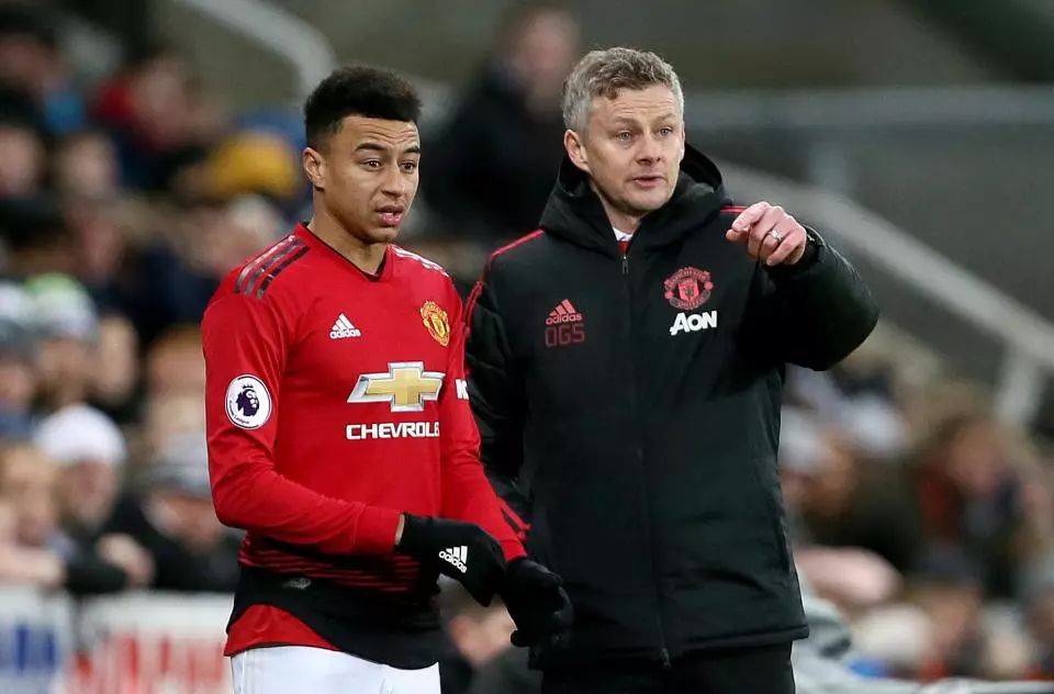 来注定将在 来注定将在